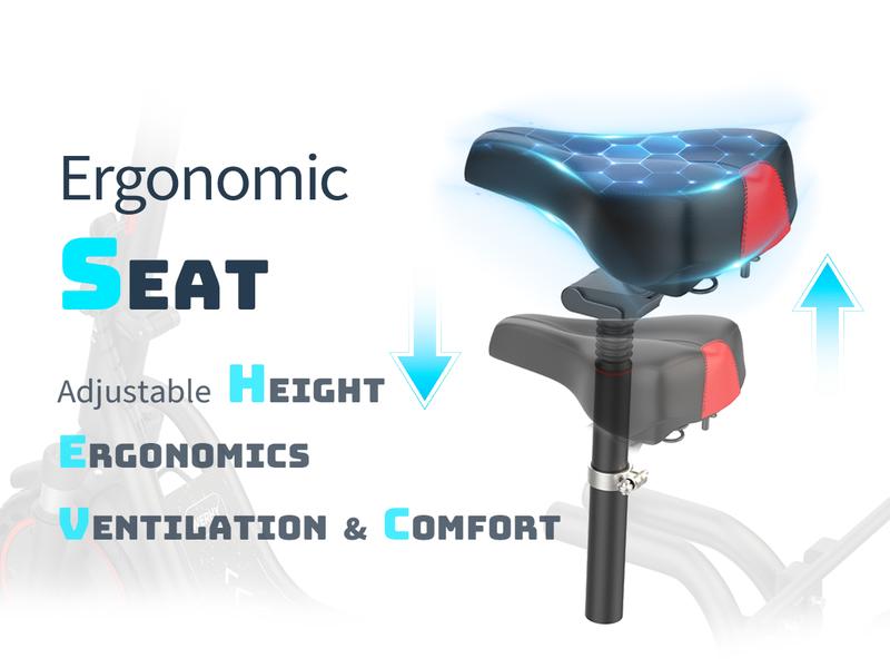 350W Folding Electric Bike for Adults, Maximum Speed 19MPH,Range 16/28 Miles, LED Lights,UL 2272 Certified