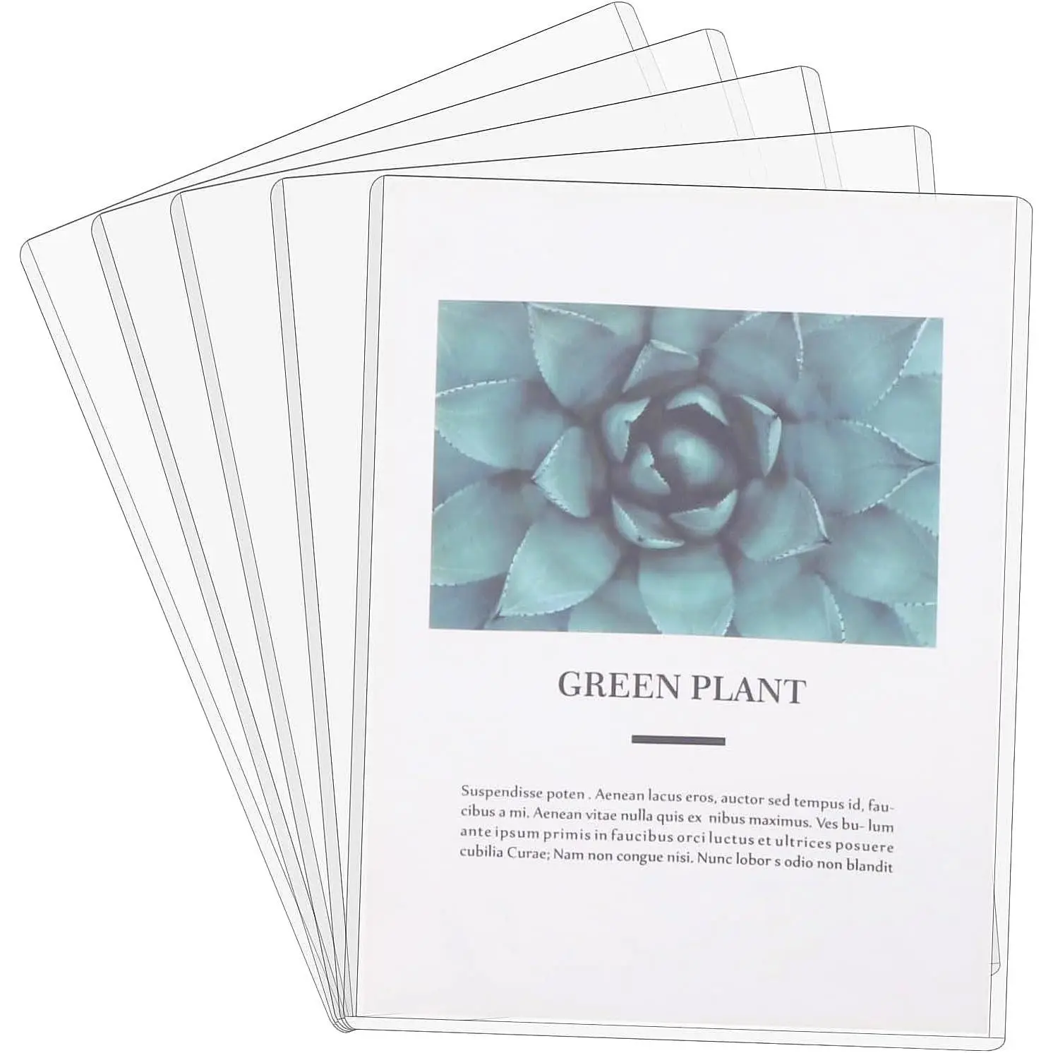 5 Pcs Rigid Print Protectors 8.5''x 11'' Waterproof Plastic Sheet Protectors for Prints Photos Postcard Poster(Clear)
