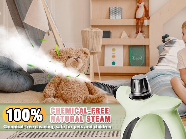 Spurgehom Pressurized Handheld Steam Cleaner, Multi-surface Natural Steam Cleaner with 11pcs Accessories Multi-purpose Steamer for Cleaning Floor, Car, Kitchen, Home Use (Green)