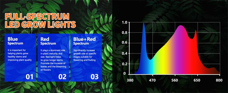 Lilypelle Indoor Mini Greenhouse with Grow Lights, 4/5 Tier Plant Shelf with Zippered PVC Cover, Seed Starting Rack with 3 Light Modes, 10 Brightness Levels & Timer Function