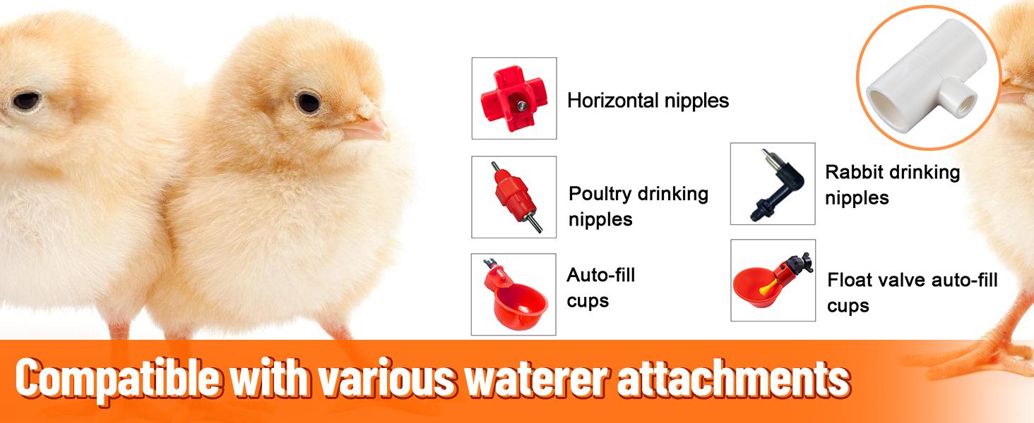 12-Piece PVC Tee Fittings for Automatic Chicken Waterer, Threaded Connectors That Connect Poultry Nipples, Cups, Feeders (Farm Animal & Poultry Feeding Supplies), Connects