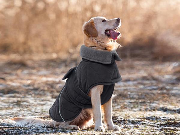 Kuoser Dog Coat, Super-Warm Dog Jacket Windproof Dog Cold Weather Coats for Extra Large Dogs, Fleece Lining Turtleneck Dog Snowsuit Reflective Adjustable Dog Winter Clothes Kuoser Dog Coat, Super-Warm Dog Jacket Windproof Dog Cold Weather Coats for Extra Large Dogs, Fleece Lining Turtleneck Dog Snowsuit Reflective Adjustable Dog Winter Clothes