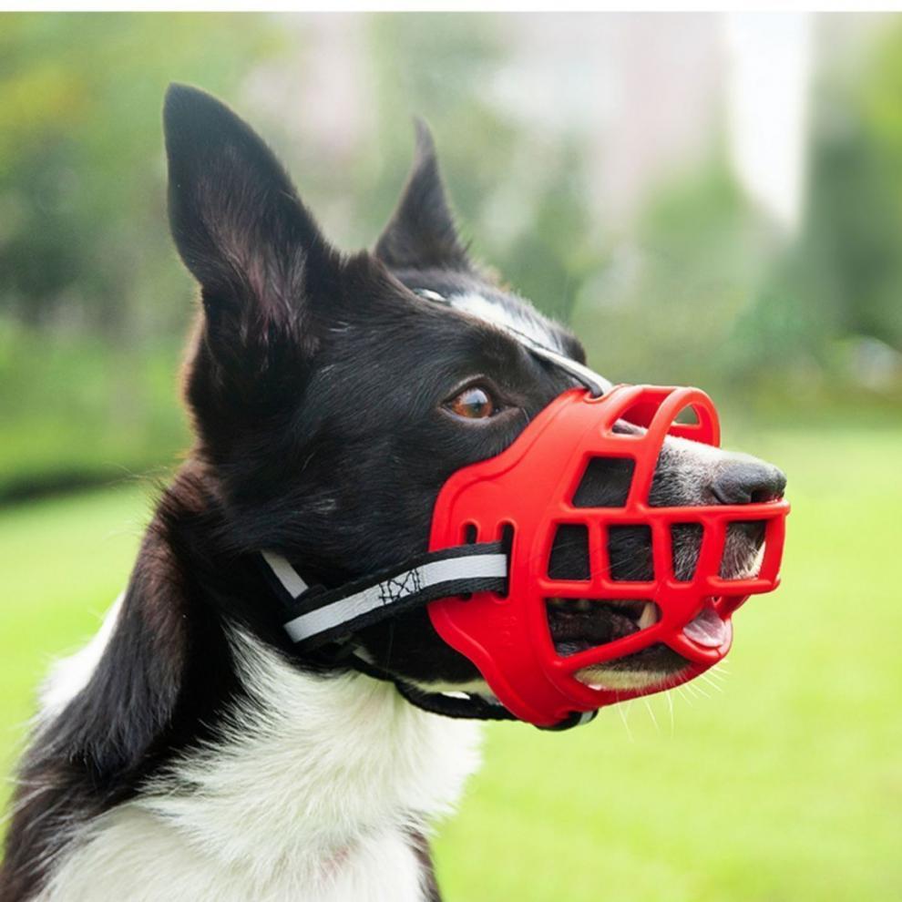 2026 Dog Muzzle to Prevent Eating and Barking, Anti-Barking Device for Small, Medium, and Large Dogs, Pet Anti-Barking Mouth Cover