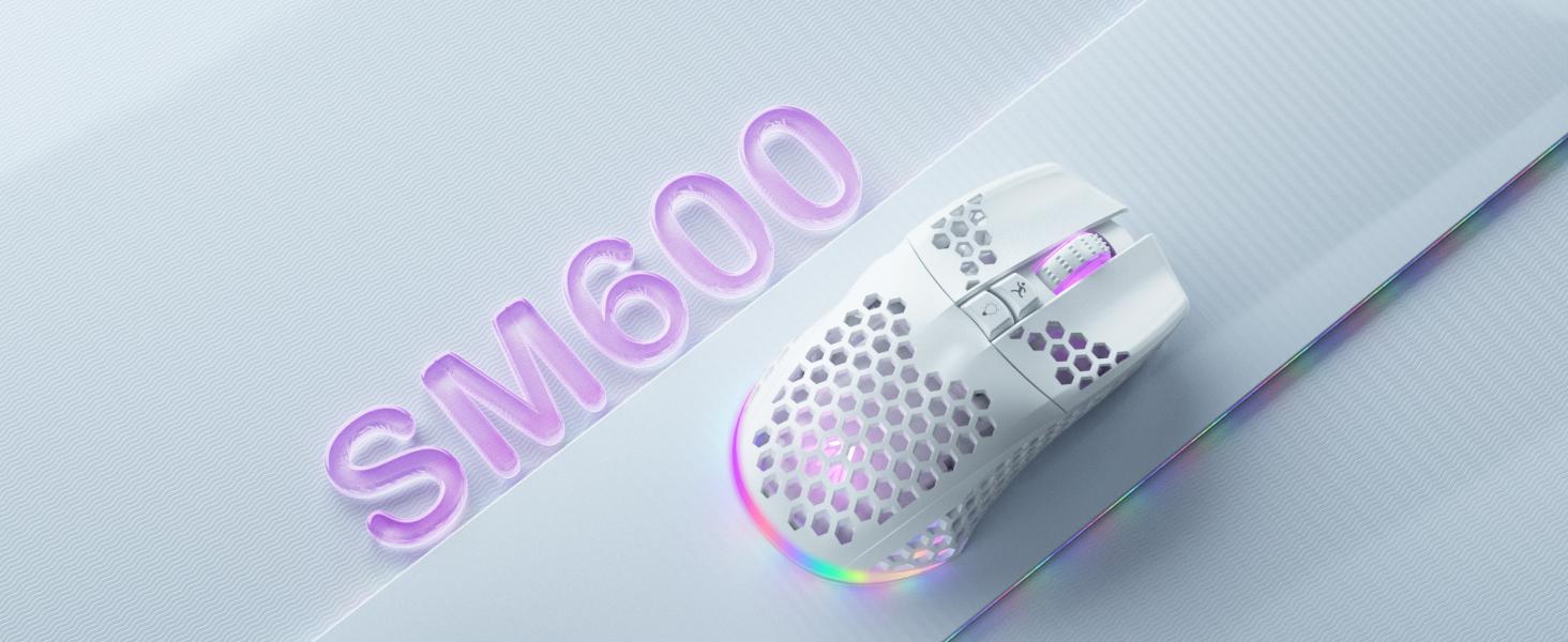 Solakaka SM600 Wireless Esports Gaming Mouse,Tri-Mode Connection 2.4G/BT5.0/USB Wired Mode Switching Gaming Mouse, Compatible with Bluetooth Connection Ergonomic Mouse, RGB Backlit PC Gaming Mouse, Office Desktop Laptop PC Accessories FallFreshness