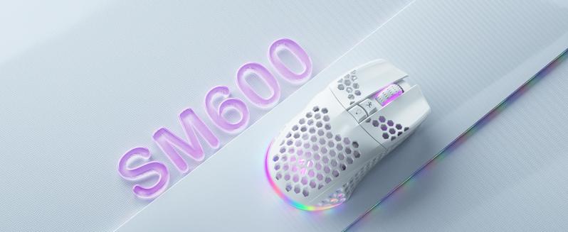 Solakaka SM600 Wireless Esports Gaming Mouse,Tri-Mode Connection 2.4G/BT5.0/USB Wired Mode Switching Gaming Mouse, Compatible with Bluetooth Connection Ergonomic Mouse, RGB Backlit PC Gaming Mouse, Office Desktop Laptop PC Accessories FallFreshness