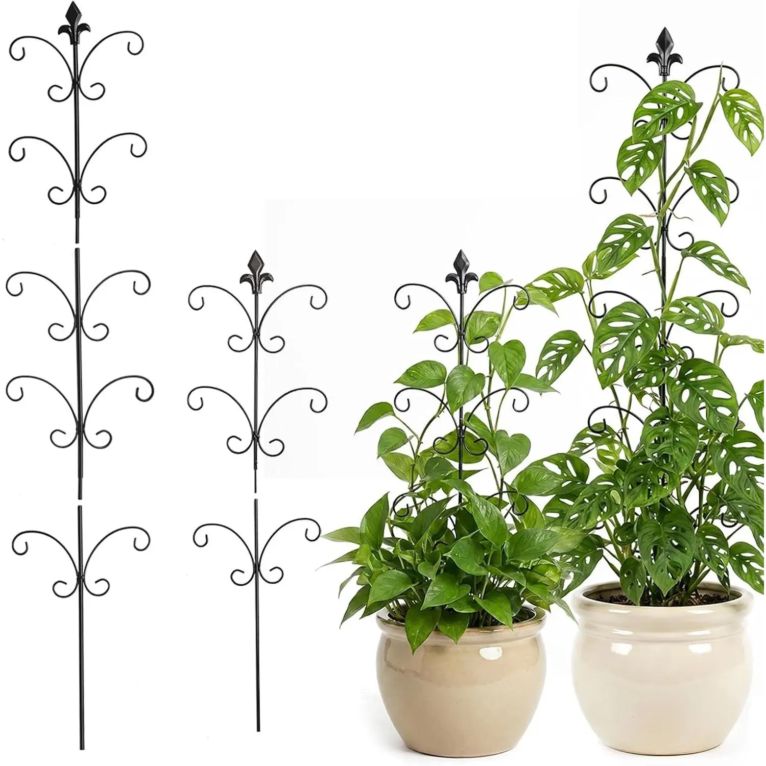 Metal Monstera Plant Support 2-Pack, Adjustable Height Steel Plant Trellis for Pothos, Vining & Climbing Potted Plants, Indoor & Outdoor, Sturdy Rotatable Plant Stakes with Rounded Ends, 31" & 46"