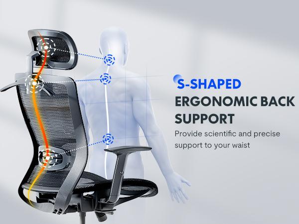 【TikTokShopBlackFriday】Executive Ergonomic Office Chair, Height Adjustable Mesh Computer Chair with Adjustable Headrest, Armrests, and Lumbar Support, Home Office Desk Chair, Gray