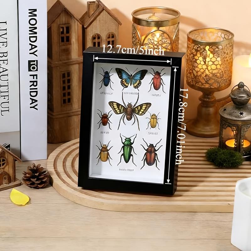 A Wooden Display Box with a Depth of 3Cm (Frame Only) Is Available in Black And White Colors. It Comes in Three Inner Dimensions: 5X7 Inches, 6X8 Inches, And 7.9X7.9 Inches, Suitable for Showcasing Insect Specimens, Shells, Stamps, Home Decoration
