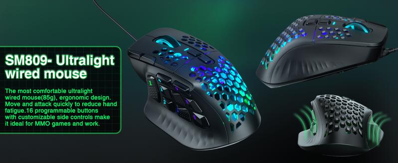 SOLAKAKA SM809 MMO Gaming Mouse Wired RGB with 9 Side Buttons, 22800 DPI High Precision Sensor Optical Ergonomic Gamer Mouse,16 Programmable Custom Macro Shortcuts Remapping PC Gaming Mice for Windows FallFreshness