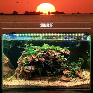 hygger 24/7 Lighting Aquarium LED Light, Sunrise-Daylight-Moonlight Mode and DIY Mode, Timer Adjustable Brightness Fish Tank Light with Extendable Bracket 7 Colors for Planted Tank