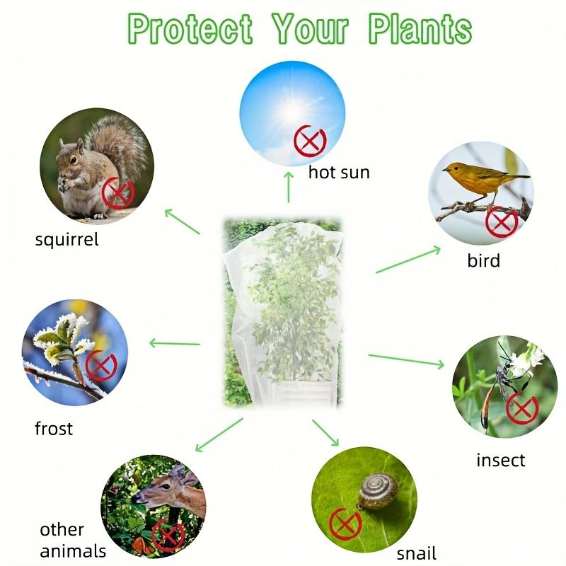 Tree Protection Net with Zipper Drawstring, Bird and Insect Proof Bag, Ideal for Blueberries Tomatoes Citrus, Garden Tree Guard