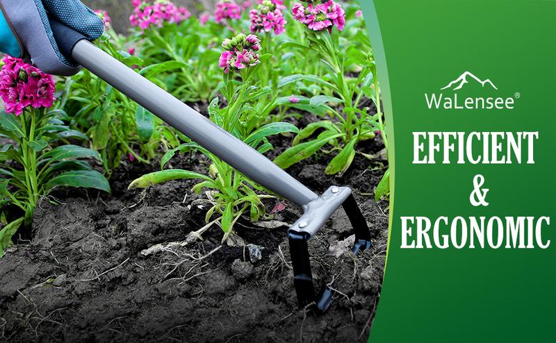 Walensee Mini Action Hoe for Weeding Stirrup Hoe Tools for Garden Hula-Ho with 14- Inch Scuffle Loop Hoe Gardening Weeder Cultivator, Sharp Durable Metal Handle Weeding Rake with Cushioned Grip, Grey Walensee Mini Action Hoe for Weeding Stirrup Hoe Tools for Garden Hula-Ho with 14- Inch Scuffle Loop Hoe Gardening Weeder Cultivator, Sharp Durable Metal Handle Weeding Rake with Cushioned Grip, Grey