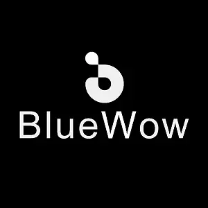 BlueWow.Digital US shop logo
