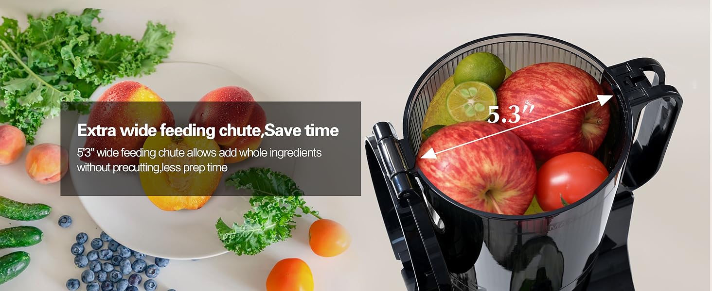 FRETTA cold pressed juicer with 5.3" Feed Chute, Slow Masticator Chute, For Whole Vegetables and Fruits, High Yield, Easy to Clean Springtok Steel