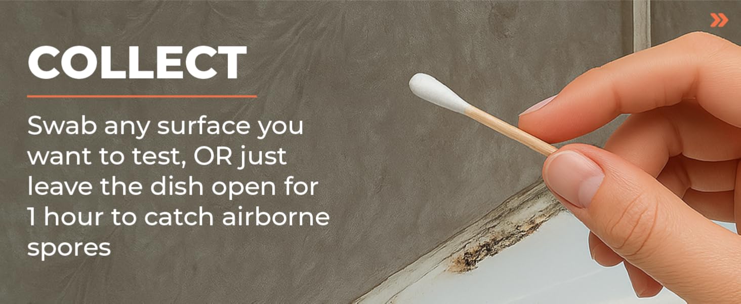 Mold Test Kit – Test 10 Different Areas, Swab Sample and Air Sample, Easy-to-Use Guide,-Testing