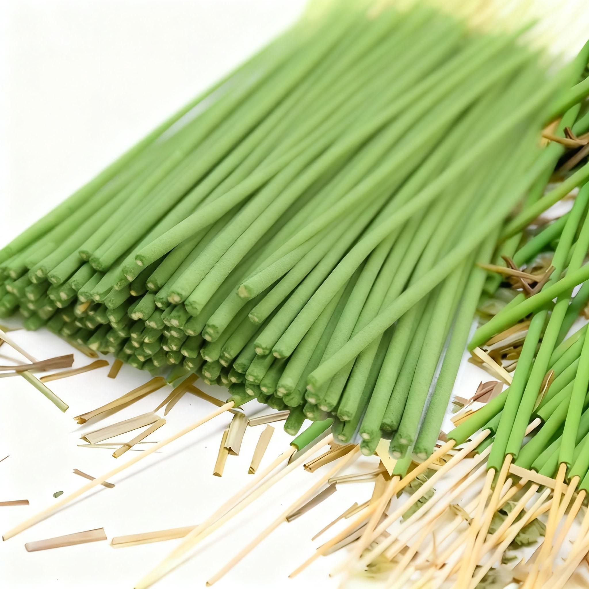 22cm Blue Lemon Incense Sticks, Plant Essential Oil Extract, Lemongrass Scented Freshener, Ideal for Camping, Meditation, Bedroom, Office Air Purification