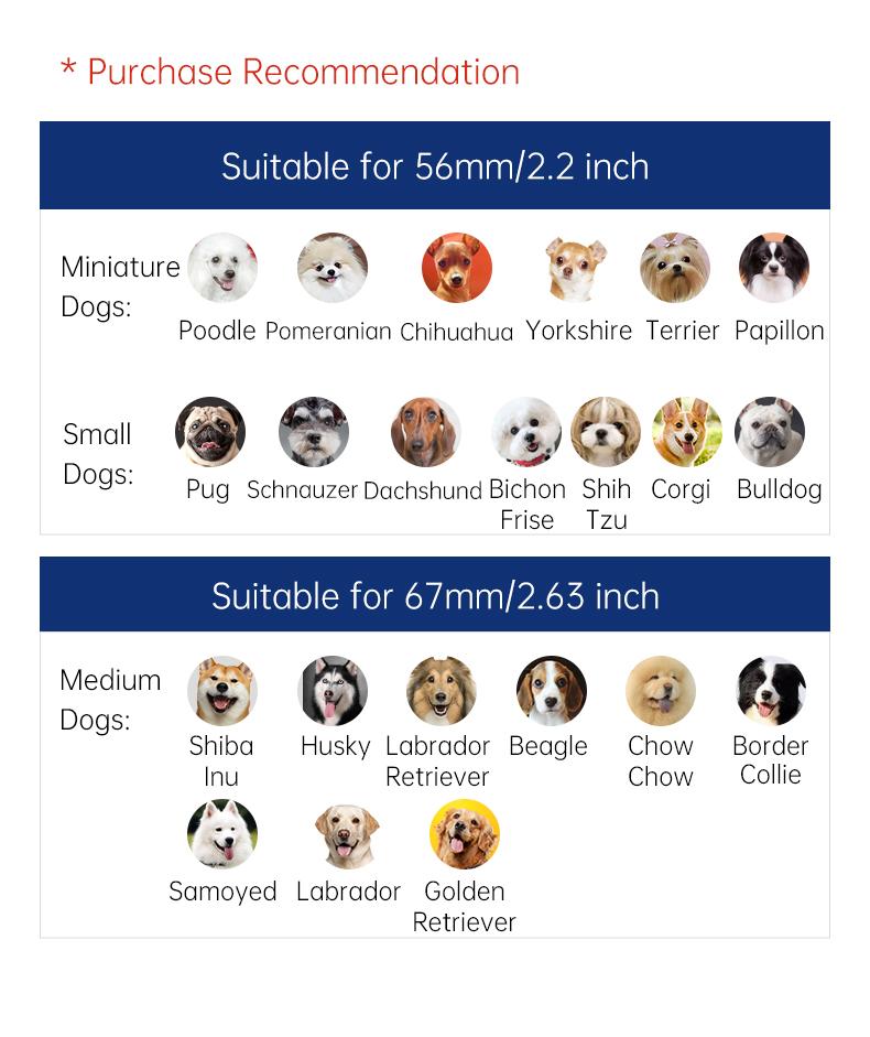 TikTokShopBlackFriday, Petgravity Interactive Dog Toys Dog Bouncing Ball, Dog Jumping Ball, Motion Activated Automatic Bouncing Ball Toys for Small/Medium Dogs, USB Rechargeable Pet Toys