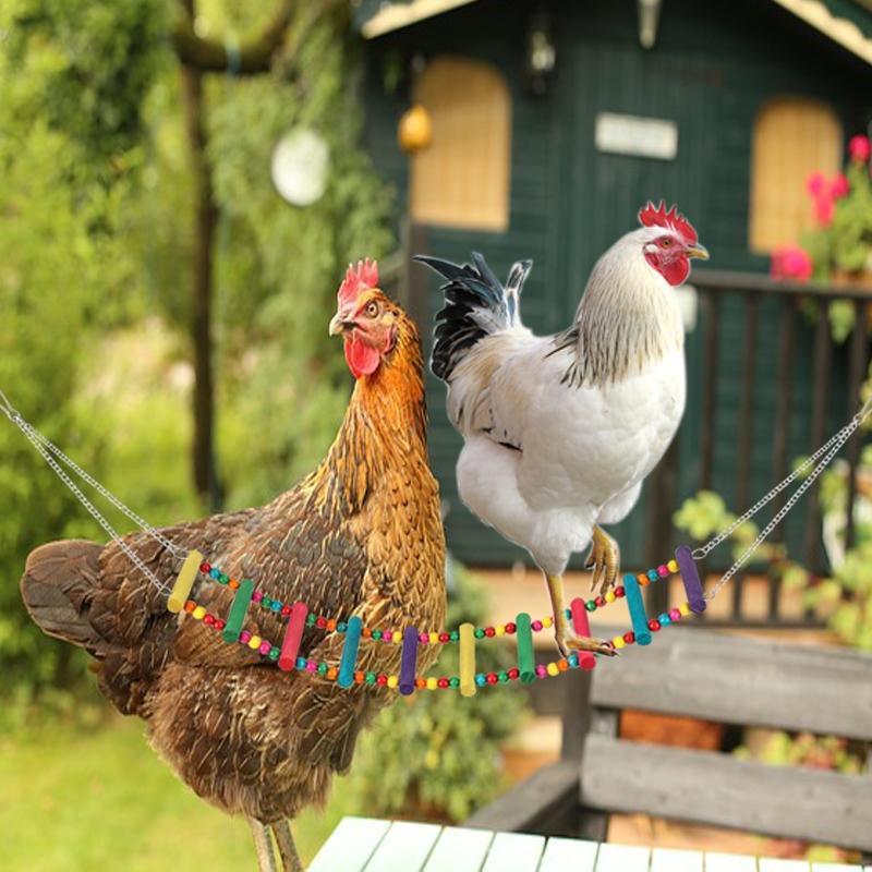 Random Color Chicken Swing & Feeder Net, Chicken Swing & Feeder Net Wood Bird Grinding Teeth Toy, Farm Animal & Poultry Supplies