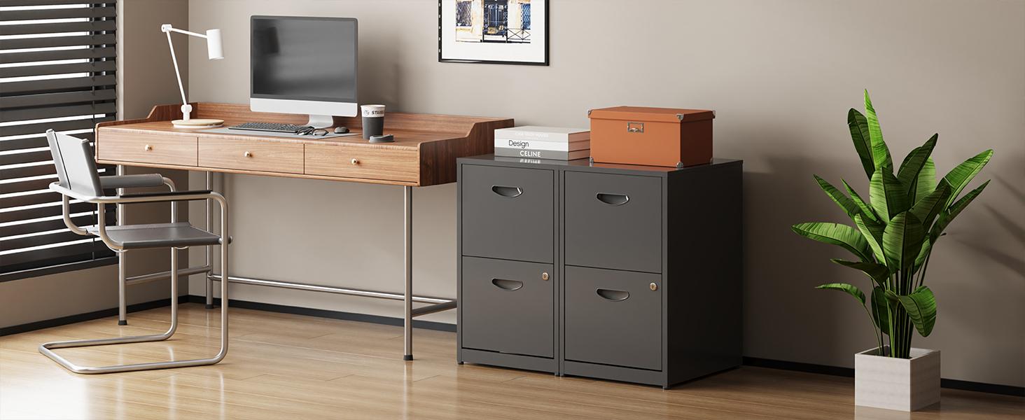 2 Drawer File Cabinet Metal Storage Filing Cabinet with Lock for Home Office Organizer Books Speciality Office Furniture Rustproof Corrosion resistant