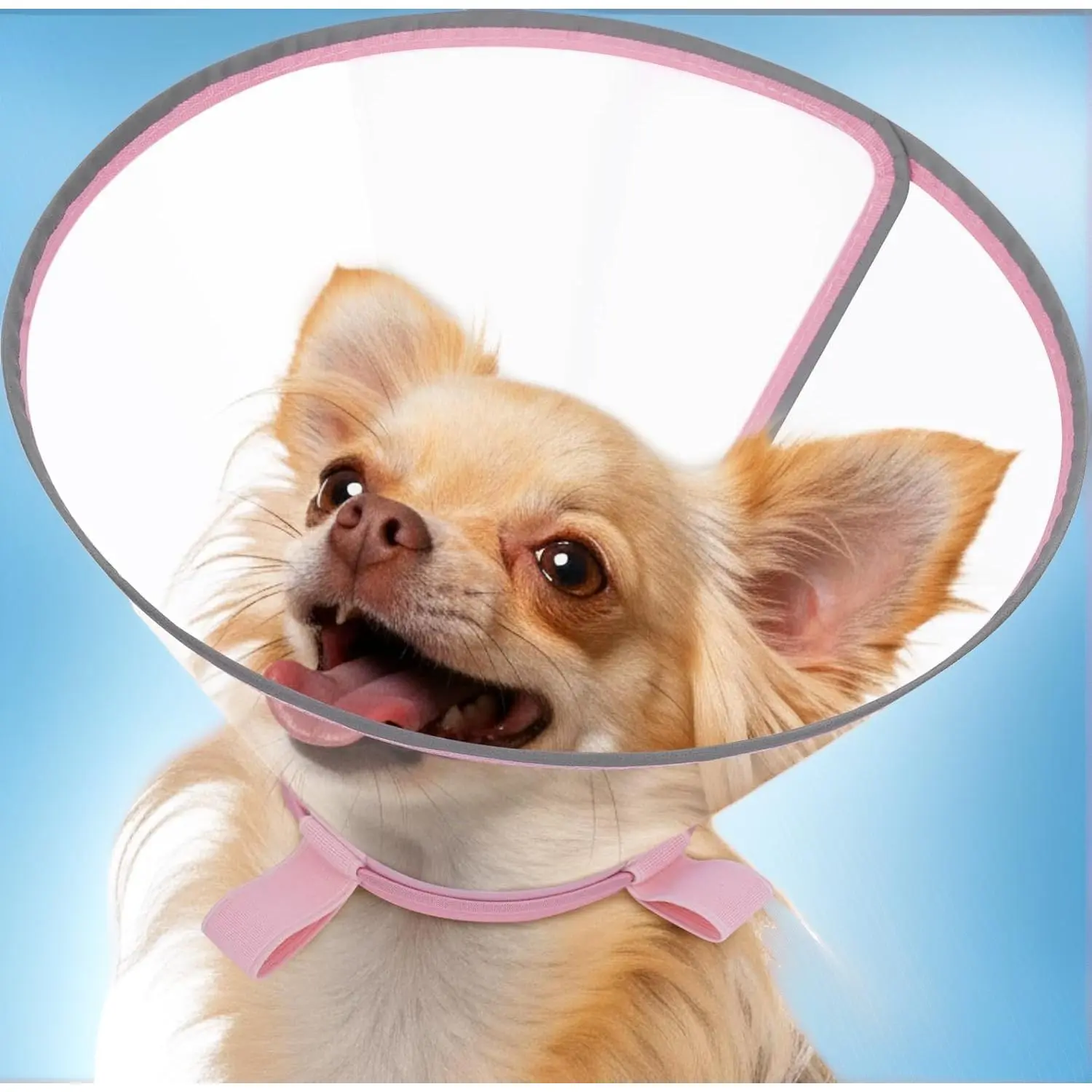 Clear Dog Cone for Medium Dogs Brittany, E-Collar After Surgery |   to Stop Licking with Padded Neck, Adjustable Soft Recovery Collar with Reflective Trim, for Night Visibility, Pink S/M