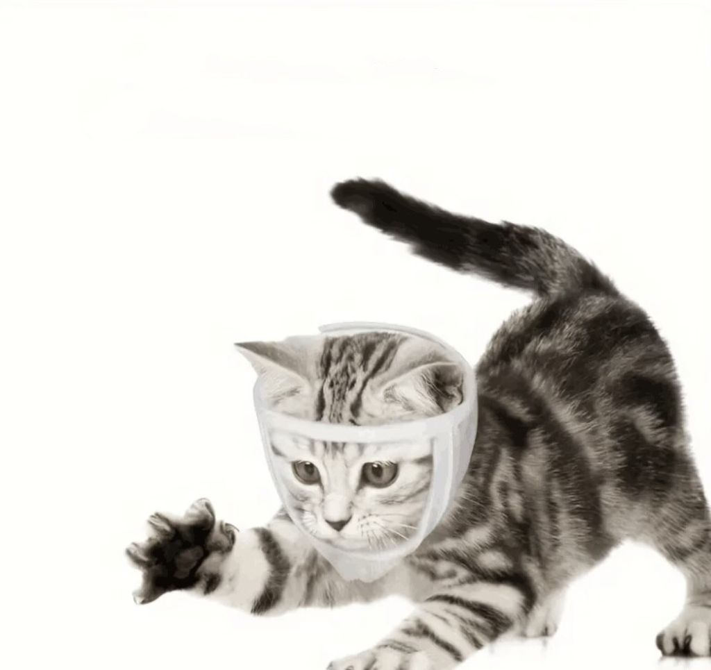 Adjustable Cat Muzzle Mask, Breathable Anti-Bite Pet Mouth Cover, Prevents Cats From Eating Randomly, Comfortable Cat Face Covering