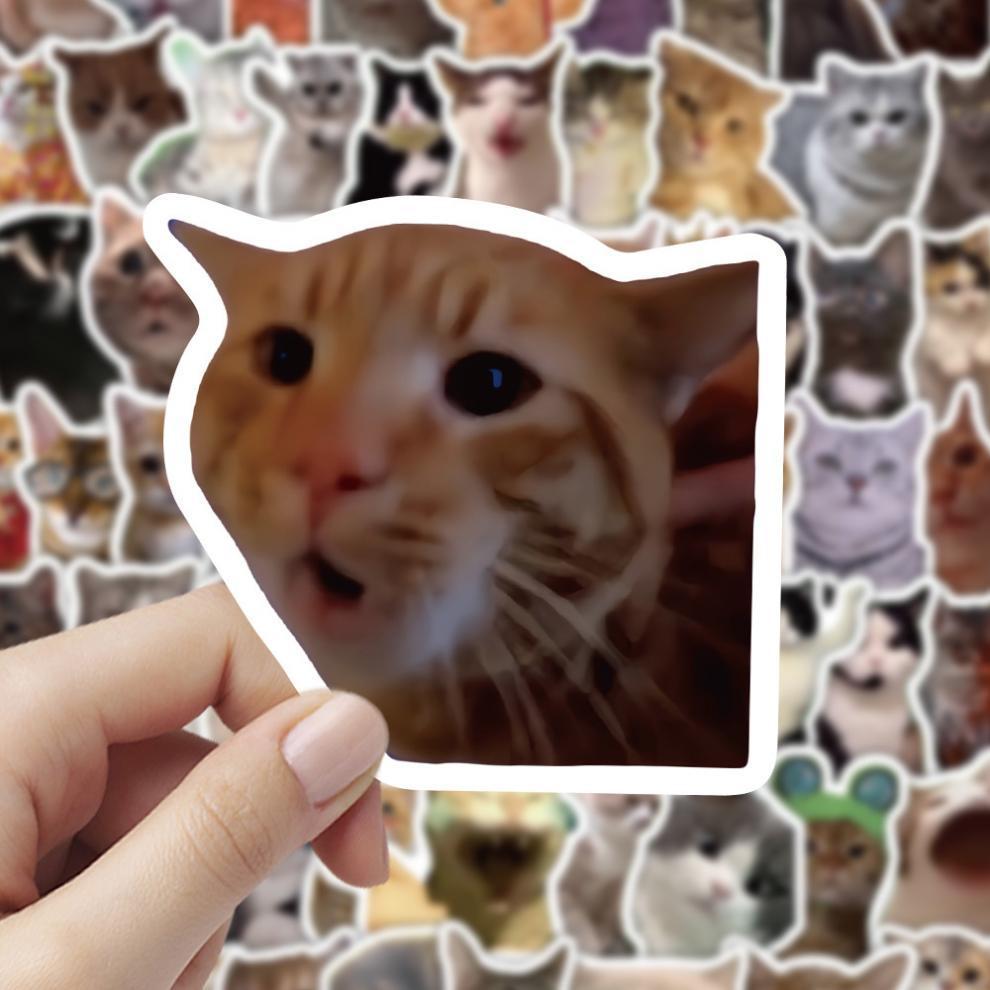 300 cat meme stickers, cute and funny quirky cat Instagram-style emoji and meme images