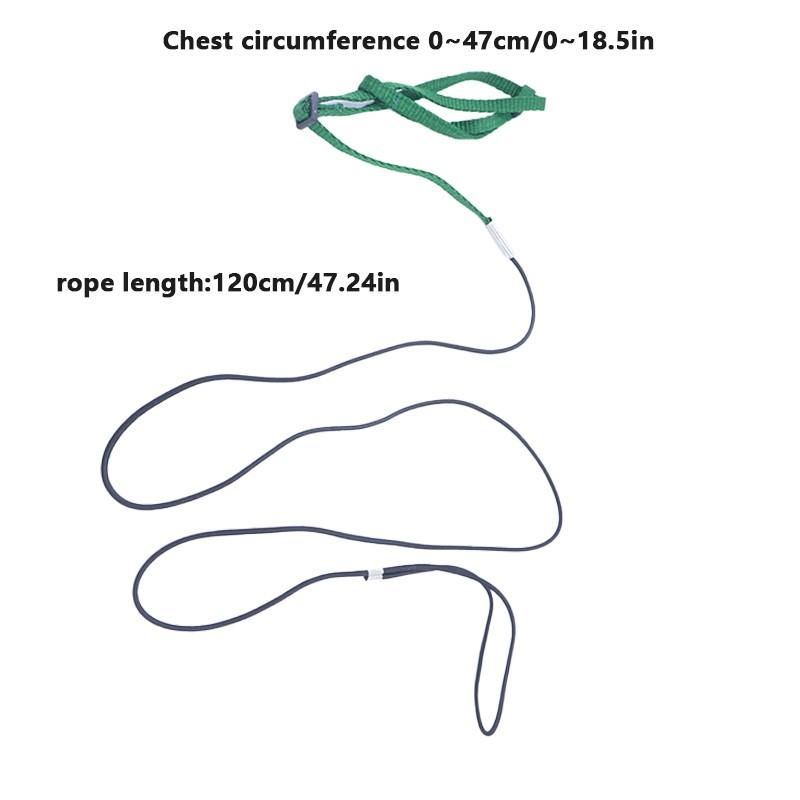 Pet Bird Release Rope, Phoenix Leash, Parrot Outdoor Training Harness, Bird Walking Backpack, Tiger Skin Kingfisher Peony Bird Small Animal Halter