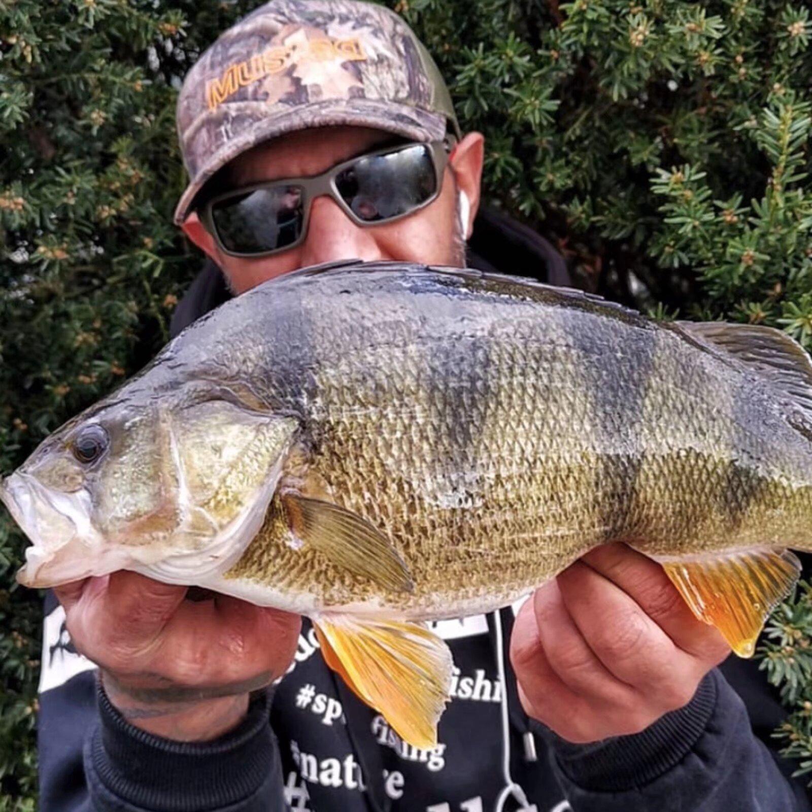 CSAOT Polarized Sunglasses Rinconcito Frames Great for Cycling, Motorcycle Riding, Fishing & outdoors - Lightweight frame design made for durability & safety