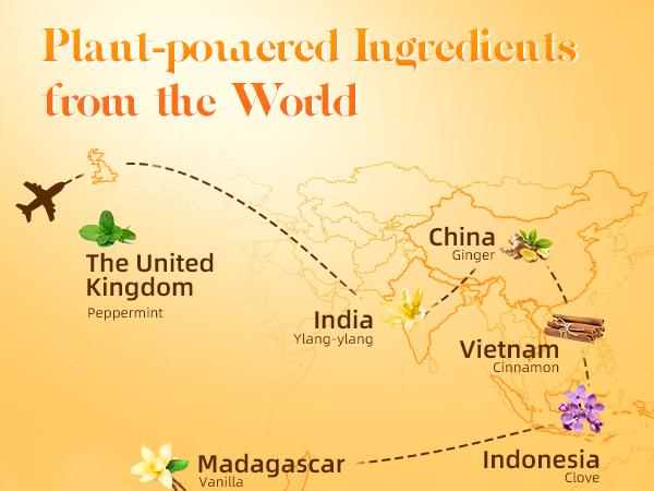 ASAKUKI Fall Holiday Fragrance Essential Oils Set 6 x 10 ml, Autumn Scented for Diffusers & Home, Long-Lasting, Freshener for Purifiers, Humidifiers, Pumpkin, Vanilla cake, Cinnamon, Warm, Sweet, Woody Aromatic, Christmas Gift, Home Smell Good Product