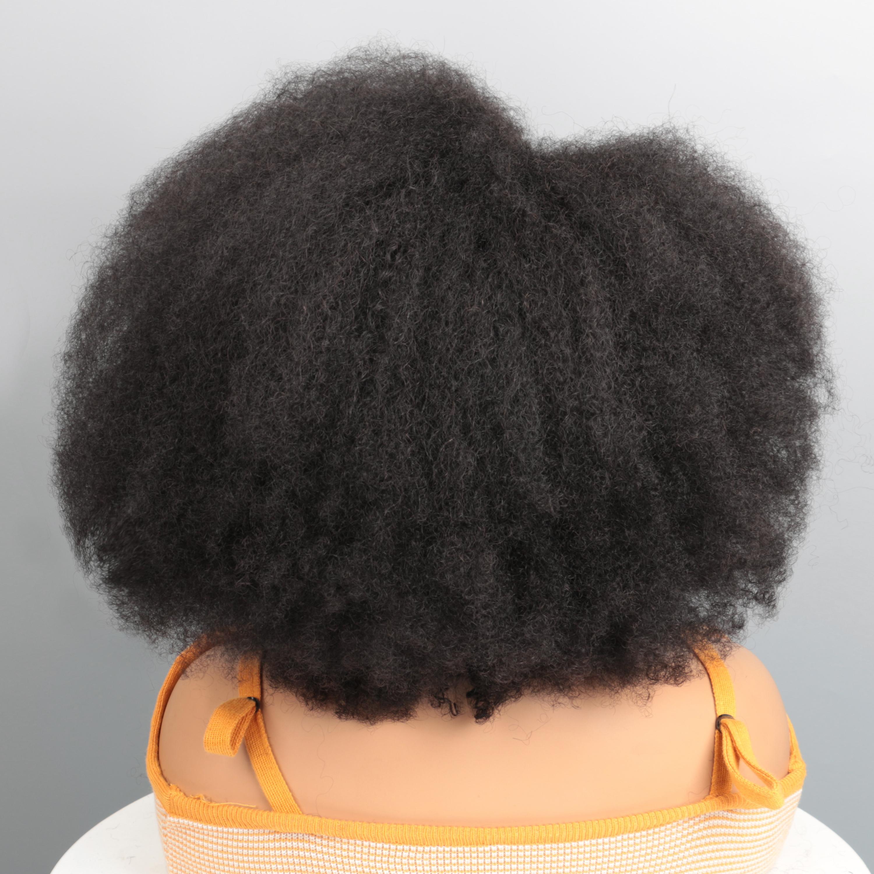 Imani 14 Inch Afro Kinky Curly Wig Short Curly Wig Human Hair for Black Women 250% Density 13x4x2 HD Lace Frontal Wig for Daily Use with Natural Hairline Affordable Wig