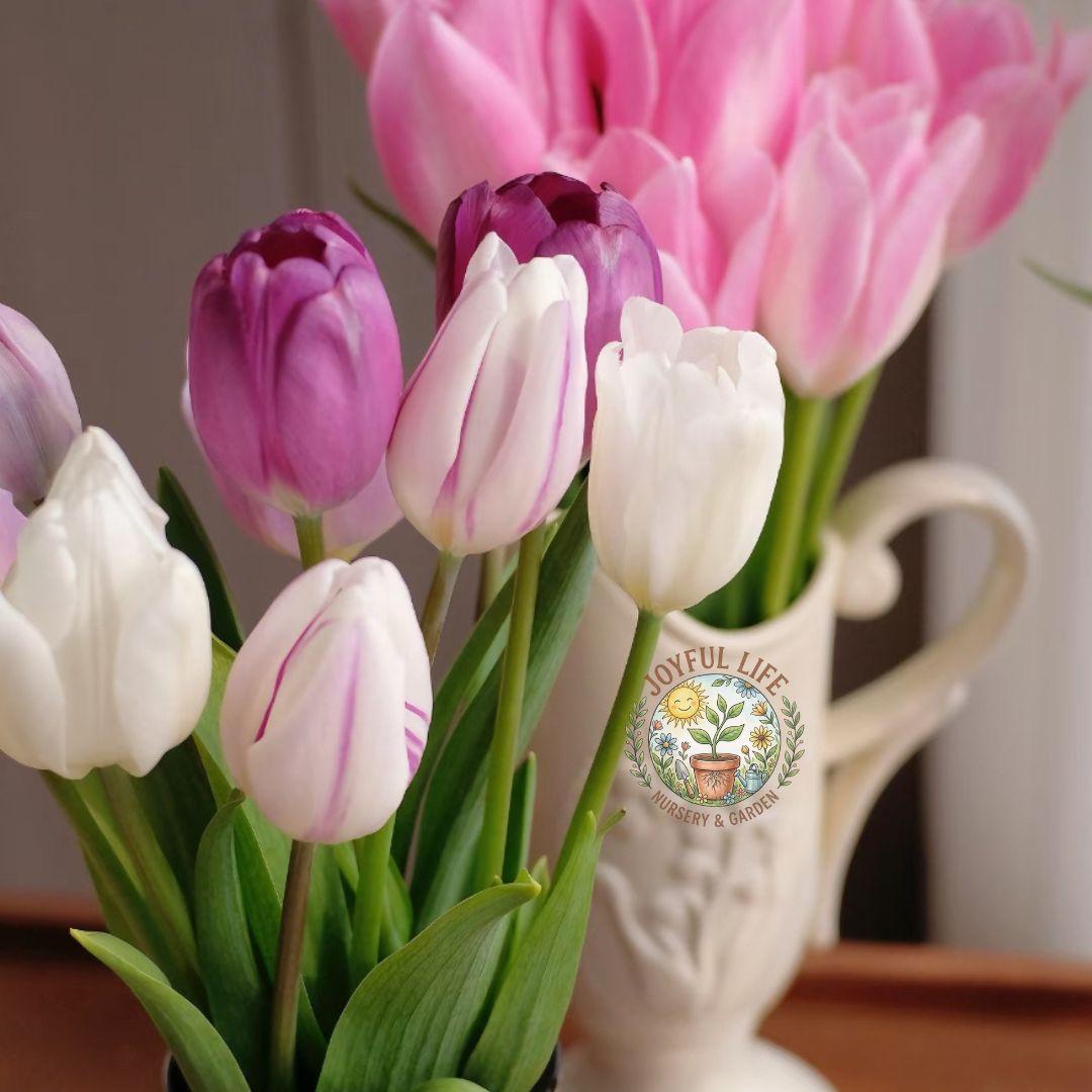 Premium high-sprouting tulip balls, easy-to-grow perennial rhizomes, low-maintenance indoor/outdoor flowers, ideal for balcony and garden gardening