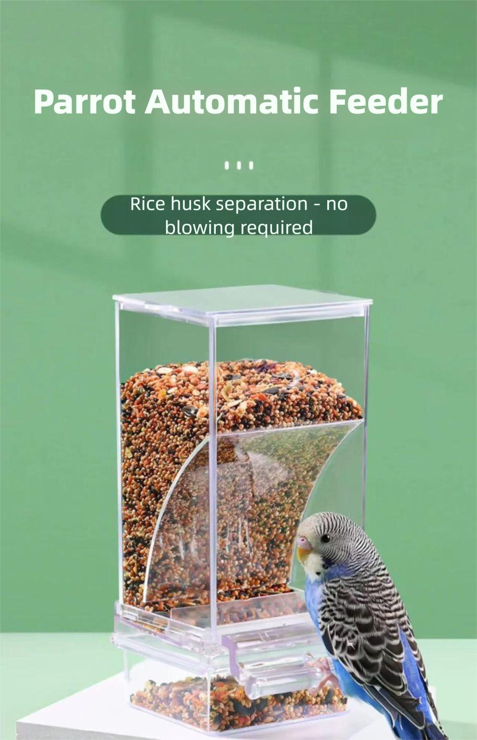 New Model Automatic Bird Feeder - Spill-Proof, Splash-Proof, and Transparent Dispenser for Cockatiels, Budgies, and Lovebirds New Model Automatic Bird Feeder - Spill-Proof, Splash-Proof, and Transparent Dispenser for Cockatiels, Budgies, and Lovebirds