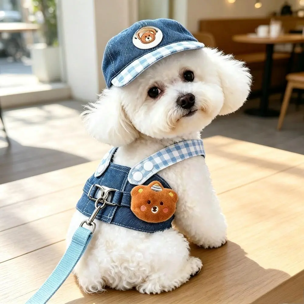 Adjustable Fit Pet Denim Plaid Harness Leash Set with Cute Plush Decor Hat, Wearable Walking Vest, Metal D-Ring, Summer Outdoor Apparel for Small Cats & Small Dogs