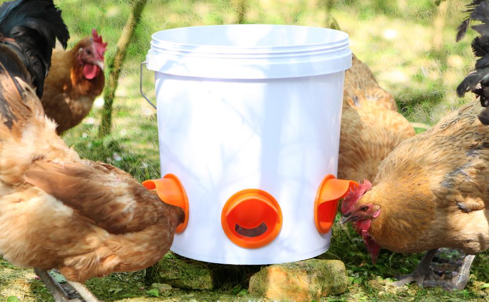 Automatic Chicken Duck Feeder Kit,No Waste Automatic Poultry Feeder Ports Kit & Waterer Set, Rainproof, No Waste,6 Feeding Ports, 6 Water Cups,A hole Saw and Drill Bit