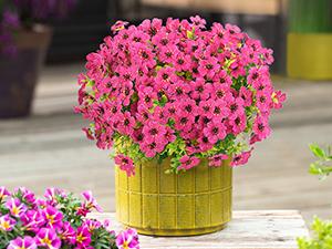 Elyum UV-Resistant Decorative Artificial Rose Red Flowers, 9 Bundles Faux Outdoor Plants for Porch Window Box Decoration