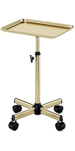 Salon Tray Cart Salon Rolling Tray, Tattoo Tray with Wheels Adjustable Height, Service Storage Tray Trolley for Beauty Clinic Spa