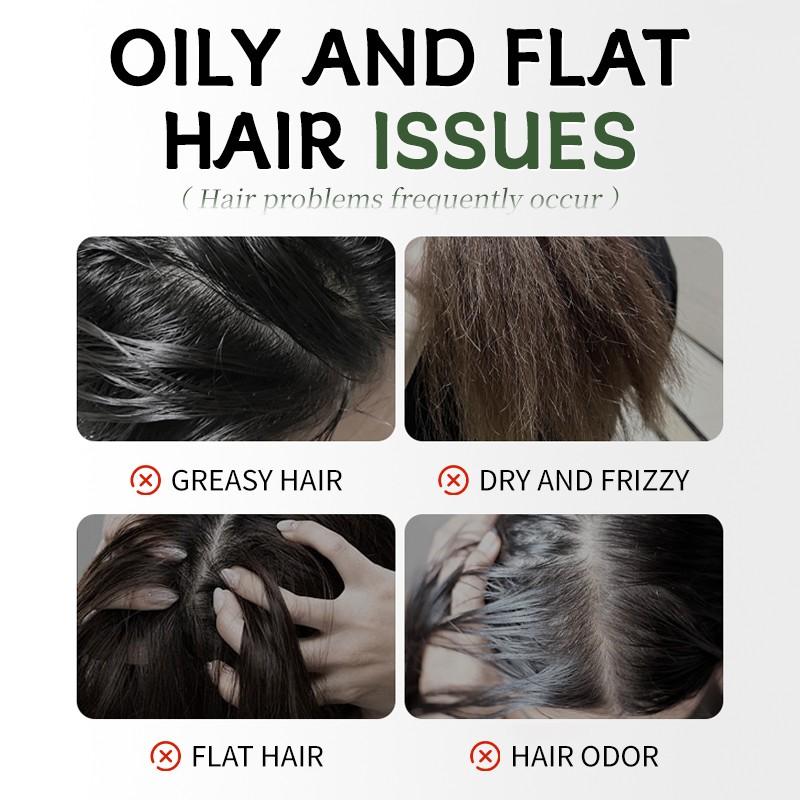 Mejisoo Rosemary Shampoo, Oil Control and Dandruff Removal, Improves Flat Hair, Volumizing, Rosemary + Polygonum + Ginseng Extracts