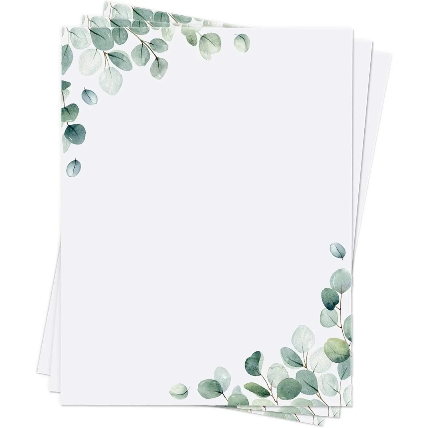 150 Sheets Eucalyptus Stationery Paper Decorative Greenery Leaf Printer Paper 8.5 x 11'' with Border Design Decorative Elegant Writing Letterhead Sheets for School Writing  Office Supplies
