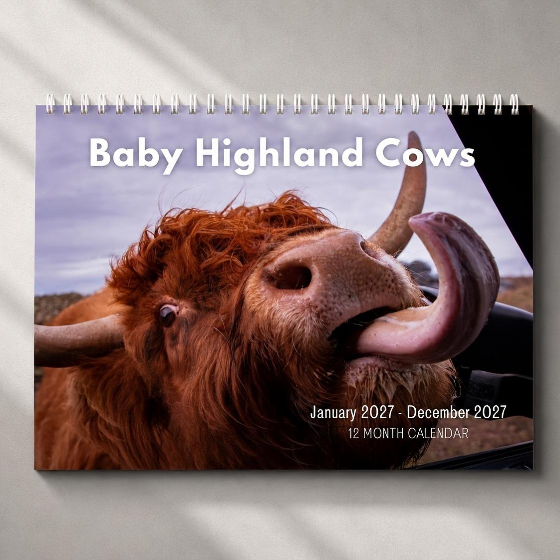 2027 Baby Highland Cows Wall Calendar, Cute Highland Cow Farm Animal Calendar, 12 Month Large Monthly Calendar, December, January, Rustic Farmhouse Gift