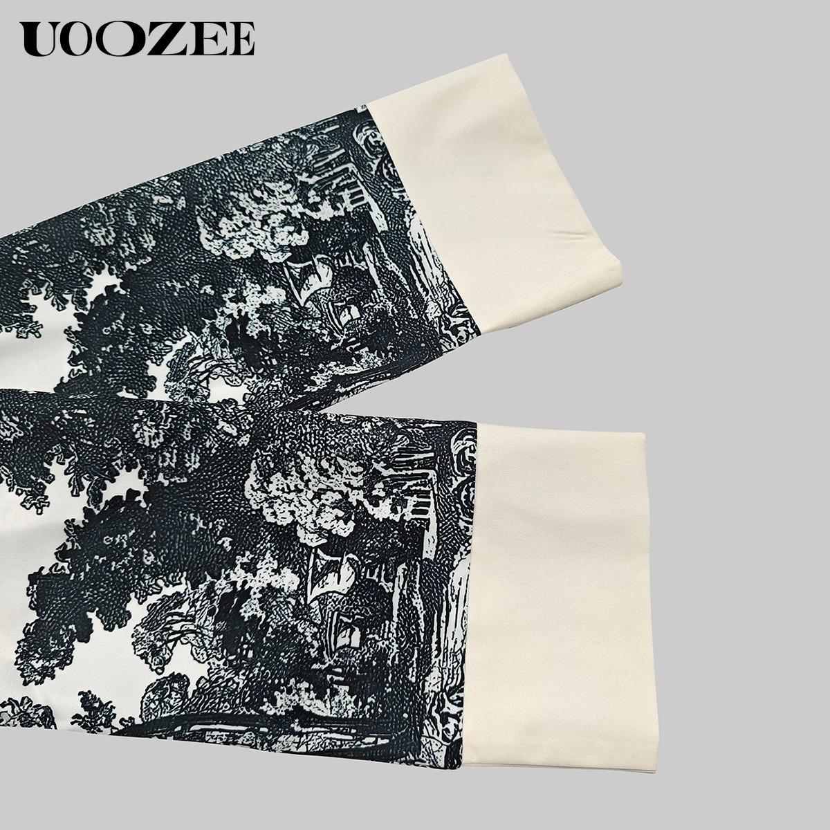 Women's Cotton Collared Long Sleeves Loose Printed Lapel Mini Dresses Shirt Dress Summer Casual Hand Wash Only