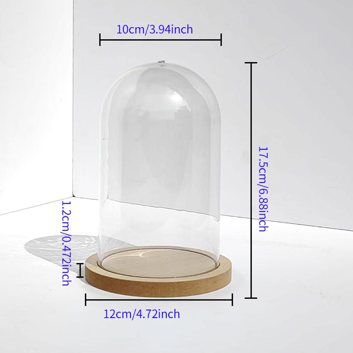 Transparent Doll Display Box, Collectible Box, Dustproof Collection Showcase, Ideal for Eternal Flower, Wooden Base, Valentine's Day Gift