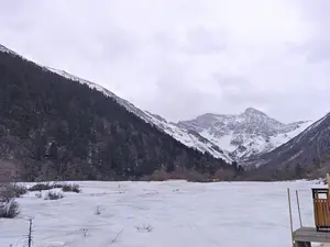 FHKGFYJSHOP FHKGFYJSHOP