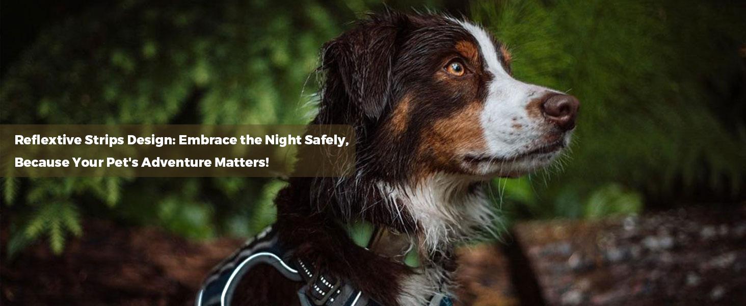 AUROTH Tactical Dog Harness – Universal Harness, Walking Harness & Safety Harnesses for Small to Large Dogs, Durable Reflective, Easy to Control, No Pull Adjustable Pet Harness, Pet Supplies