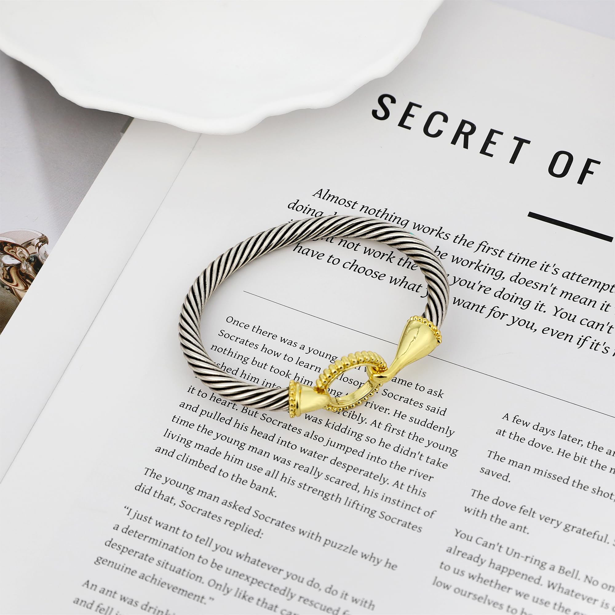 MYTYS Stackable Round Two Tone Vintage Bracelet Elegant Minimalist Bangle with Twisted Cable Look & Secure Hook Clasp Trendy Jewellery Accessories for Women Girlfriend