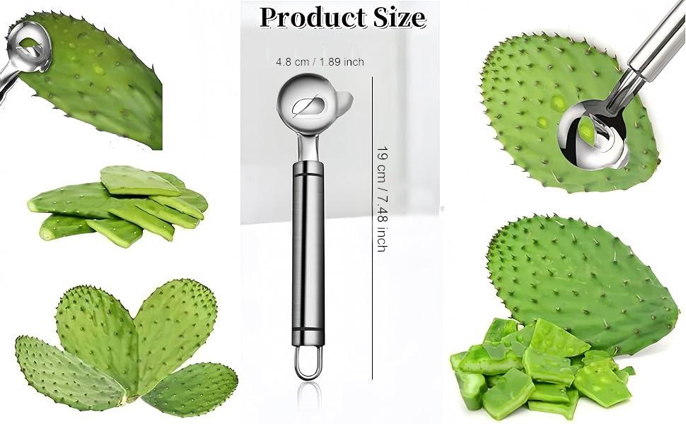 2 PCS Cactus Peeler Spoon,Stainless Steel Cactus Paring Knife and Peeler Spoon,Chinese Noodle Cutter for Cooking Kitchen Gadgets,Utensils & Gadgets for Home Use, Vegetable Cutter multifunctional cactus multi-function cactus