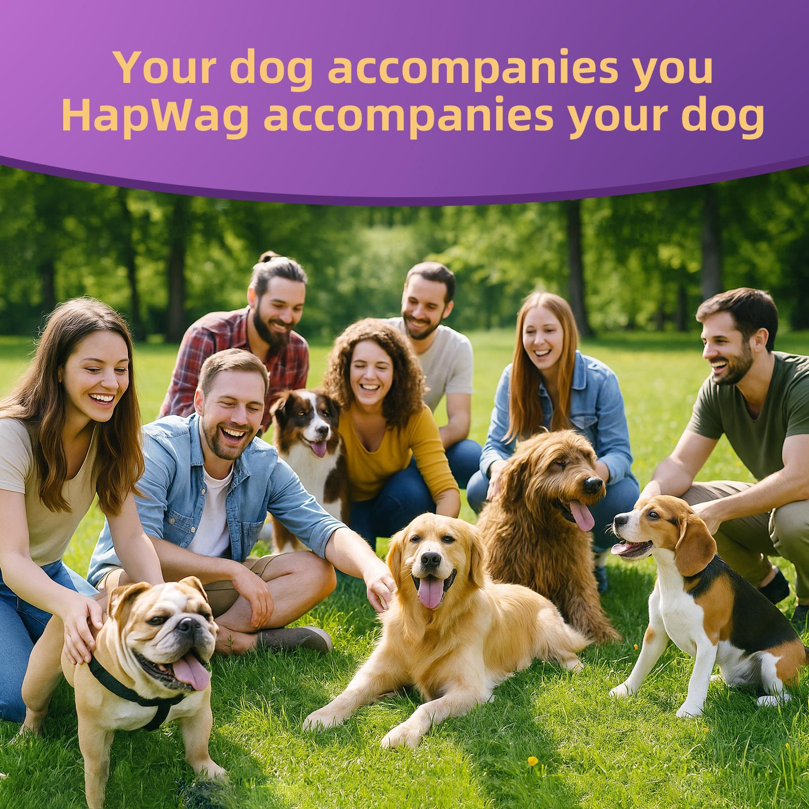 HAPWAG 8-in-1 Multivitamin Soft Chews for Dogs – Probiotics, Gut & Immune Support – Pork Flavor – 90 Treats