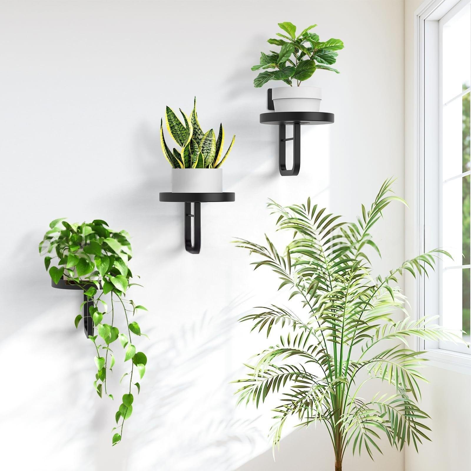 Wall-Mounted Plant Stand, Metal Wall-Hanging Planter Shelf, Indoor Plant Frame, Home Decor, Vertical Gardening Solution, Wall Plant Holder