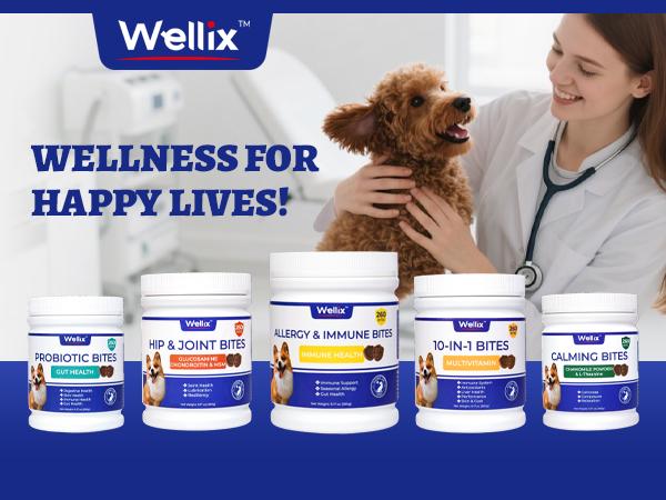 Wellix 260-Count Dog Allergy Relief Chews - Dog Allergy and Itching Skin Relief & Immune Support for Itchy Skin and Itchy Ears, 100% Natural Ingredients