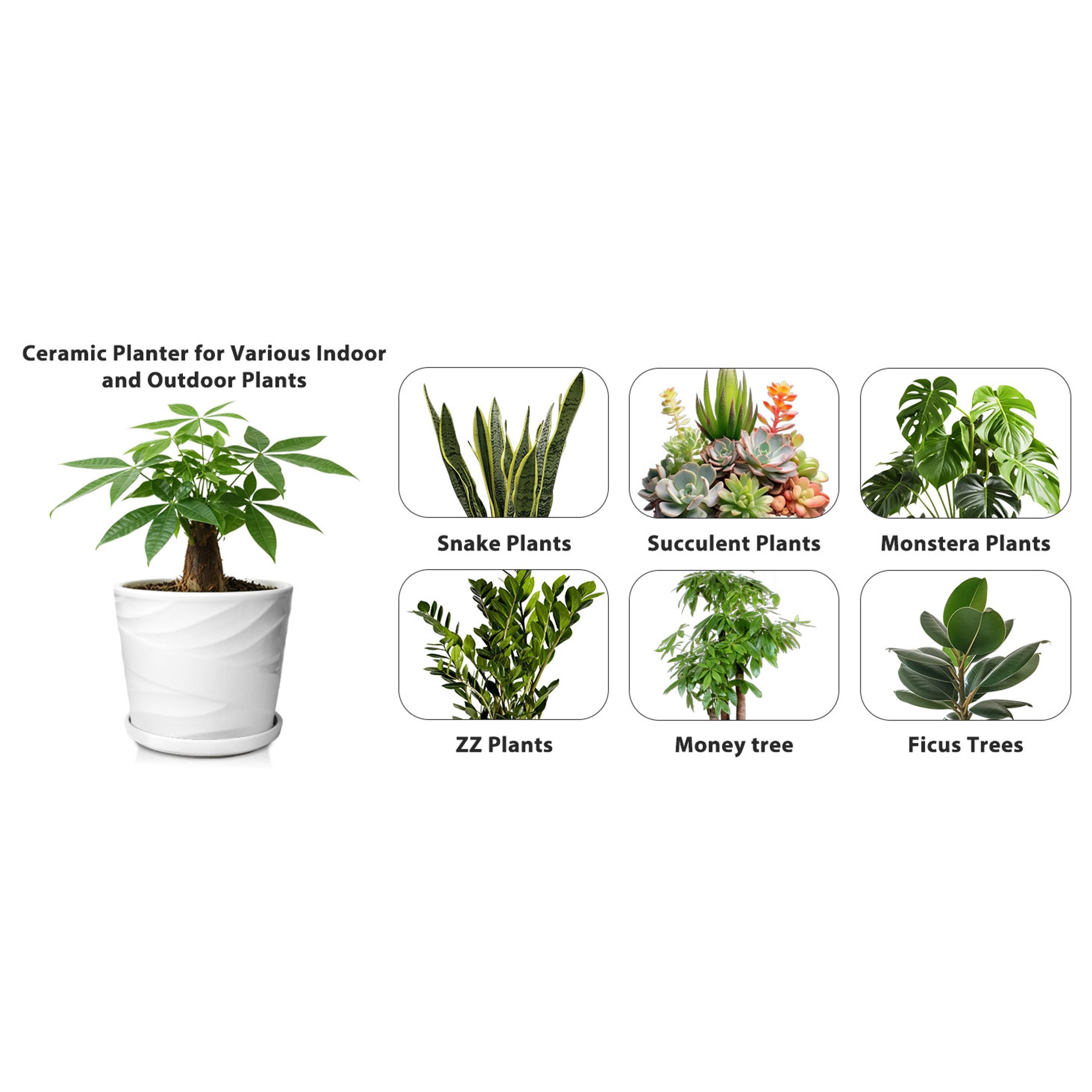 8 Inch Plant Pot,Ceramic Planter with Drainage and Saucer,Ceramic Pots for Plants,Indoor Plant pots,Ceramic Flower pots(Pure White)
