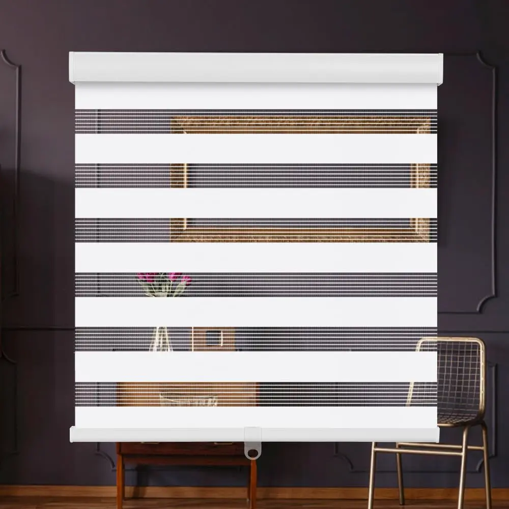 Cordless Zebra Blinds for Windows Zebra Roller Shades with Metal Valance Free Stop Dual Layer Sheer Blinds Day Night Privacy Light Filtering, White and Gray